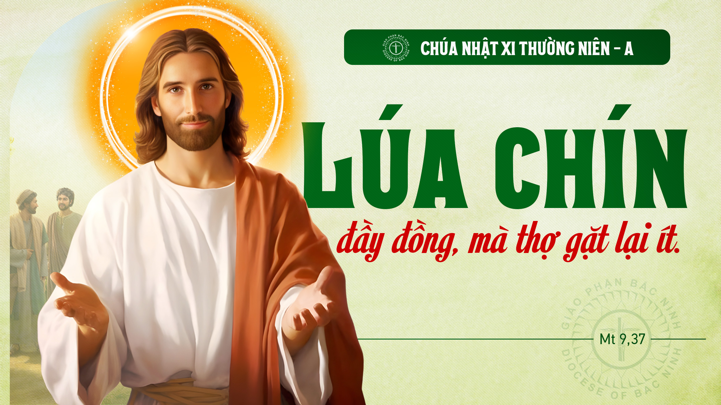 Chúa Nhật Tuần XI - Mùa Thường Niên