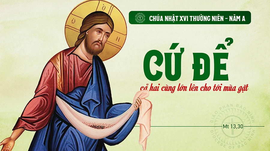 Chúa Nhật Tuần XVI – Mùa Thường Niên Năm A